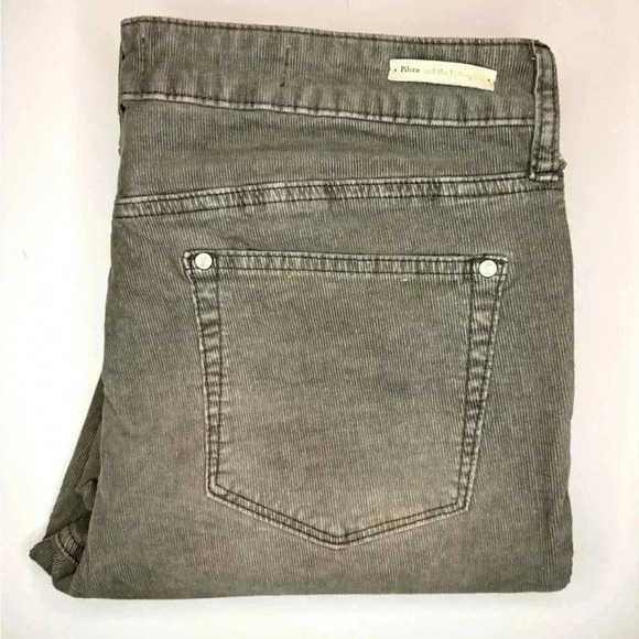 Pilcro & The Letterpress Parallel Straight Leg Corduroy Pants Anthropologie 31 - Picture 11 of 11